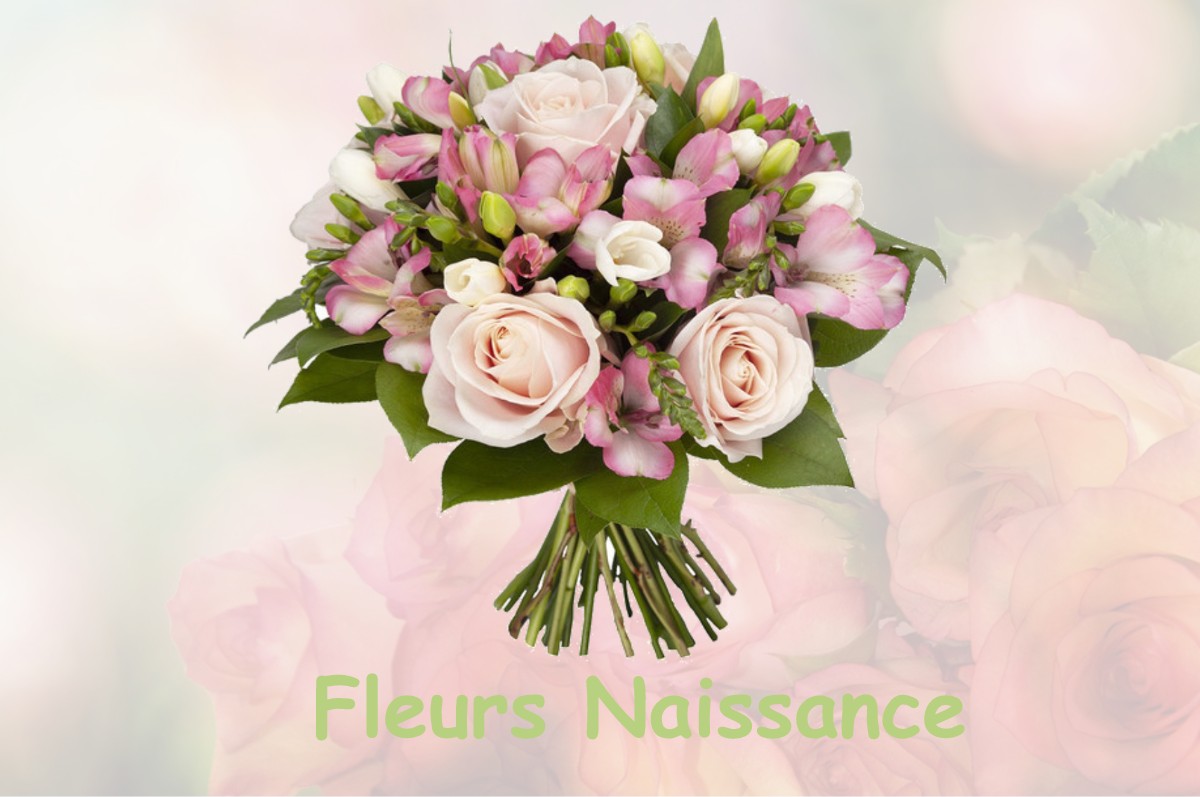 fleurs naissance SARBAZAN